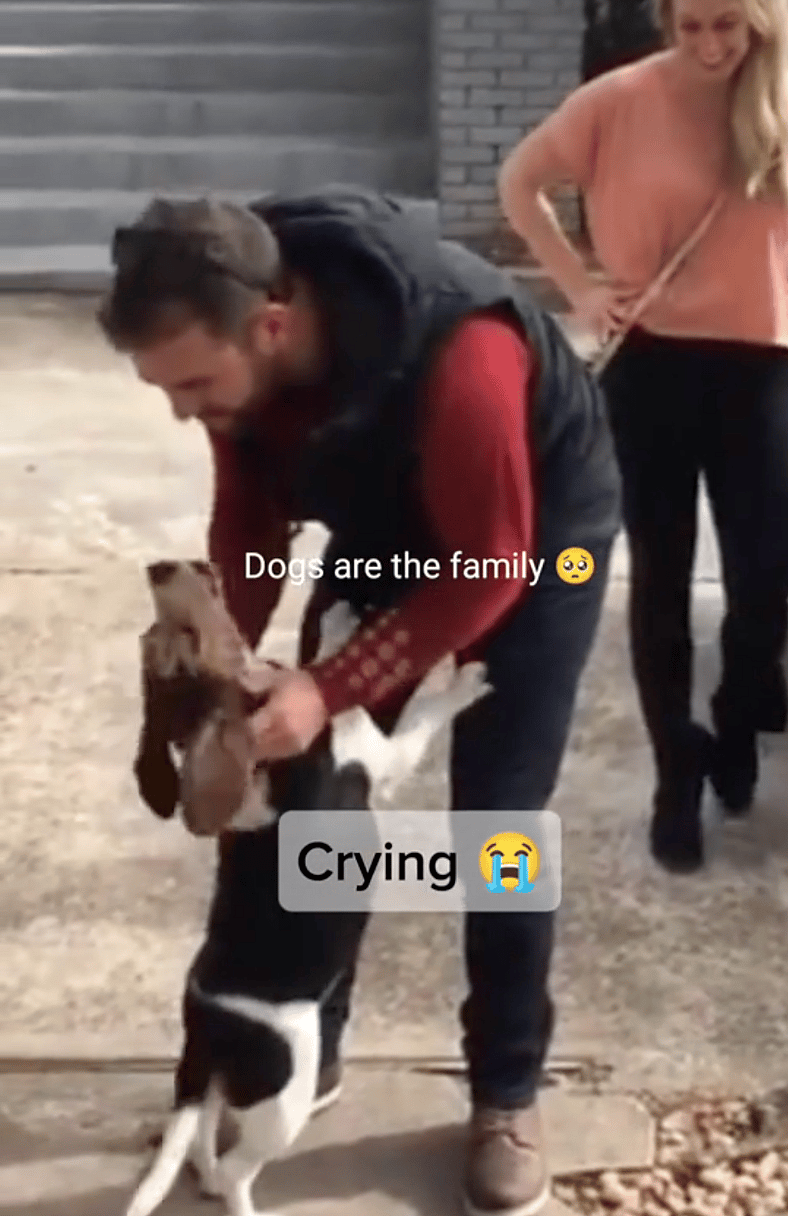 Dog’s Heart-Melting Reaction to Reuniting with Her Human